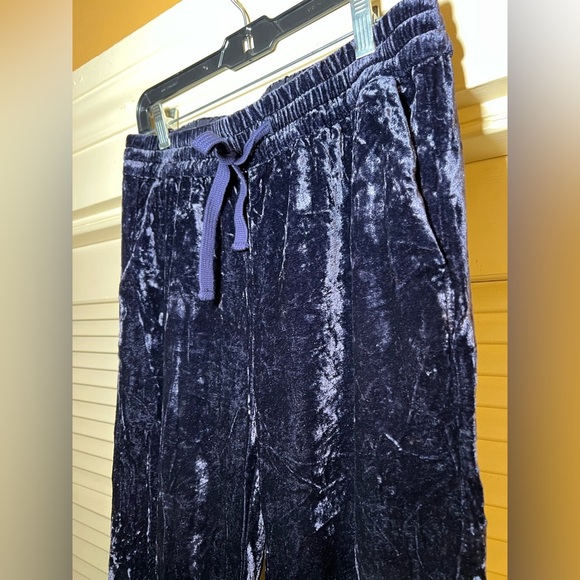 J Crew Crushed Velvet Velour Pants Joggers, size 4 RetroGlam - Picture 11 of 12